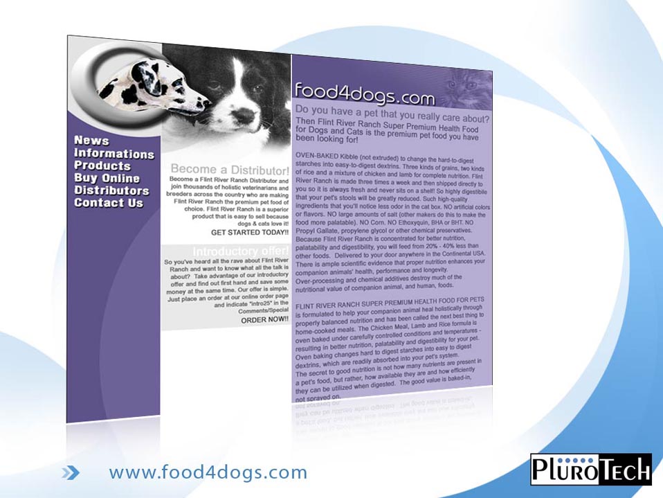 Website Design: www.food4dogs.com